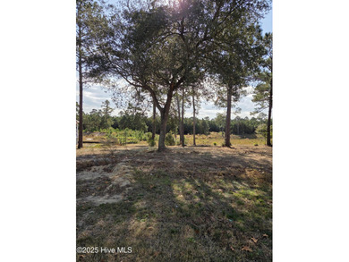 Ocean Ridge Plantation is home to the elegant country club on Sea Trail Golf Resort in North Carolina - for sale on GolfHomes.com, golf home, golf lot