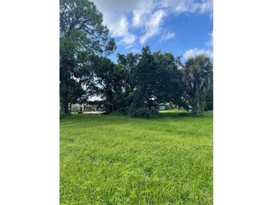BUILD your DREAM HOME or INVEST on this 80x110 lot in the on Rotonda Golf and Country Club The Hills Course in Florida - for sale on GolfHomes.com, golf home, golf lot