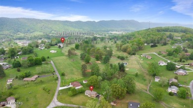 This gorgeous 5 bedroom, 3 full bath split level home has been on La Follette Country Club in Tennessee - for sale on GolfHomes.com, golf home, golf lot