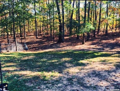 Call this 3 bd/2ba home in the evolving Diamond Head yours! on Diamondhead Golf and Country Club in Arkansas - for sale on GolfHomes.com, golf home, golf lot