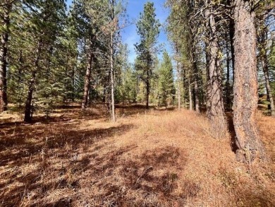 OWNER WILL CARRY! Perfectly wooded .89 acre parcel with a nice on Meadowcreek Golf Resort in Idaho - for sale on GolfHomes.com, golf home, golf lot