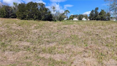 BUILD YOUR NEW HOME ON THIS HOMESITE  IN THE COMMUNITY OF on Brentwood Farms Golf Club in Florida - for sale on GolfHomes.com, golf home, golf lot
