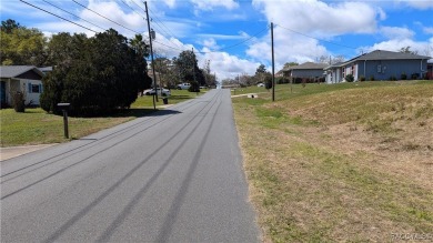 BUILD YOUR NEW HOME ON THIS HOMESITE  IN THE COMMUNITY OF on Brentwood Farms Golf Club in Florida - for sale on GolfHomes.com, golf home, golf lot