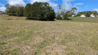 BUILD YOUR NEW HOME ON THIS HOMESITE  IN THE COMMUNITY OF on Brentwood Farms Golf Club in Florida - for sale on GolfHomes.com, golf home, golf lot