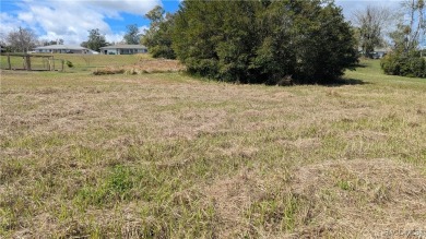 BUILD YOUR NEW HOME ON THIS HOMESITE  IN THE COMMUNITY OF on Brentwood Farms Golf Club in Florida - for sale on GolfHomes.com, golf home, golf lot