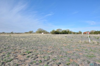 Nice Double Lot At The End Of Baker Street.  Just Off Hwy 267 on Portales Country Club in New Mexico - for sale on GolfHomes.com, golf home, golf lot