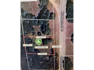 Golf Course Lot with Great Views! Located on the Old Course at on White Bluff Resort - Old Course in Texas - for sale on GolfHomes.com, golf home, golf lot