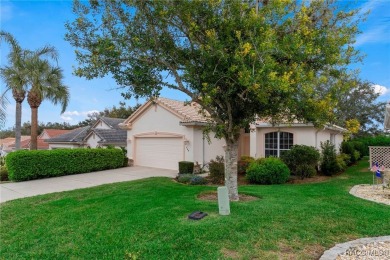 MOTIVATED SELLERS! They already purchased another home so they on Skyview At Terra Vista Golf and Country Club in Florida - for sale on GolfHomes.com, golf home, golf lot
