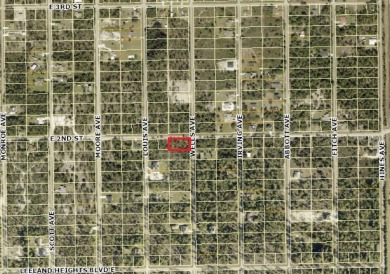 Under contract-accepting backup offers. Ready to build your on Lehigh Resort Club in Florida - for sale on GolfHomes.com, golf home, golf lot