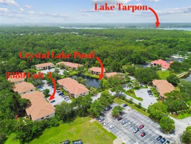 Welcome to Crystal Lake, one of Palm Harbor's most sought after on Lansbrook Golf Club in Florida - for sale on GolfHomes.com, golf home, golf lot