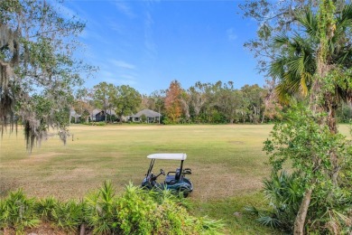 This light-filled home boasts beautiful views from the side of on Tuscawilla Country Club in Florida - for sale on GolfHomes.com, golf home, golf lot