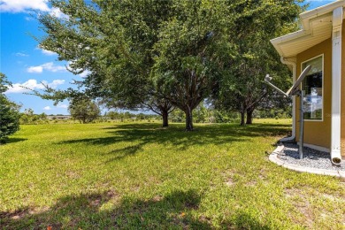 Welcome to this stunning and rare Newport floor plan in Del Webb on Eagle Ridge At Spruce Creek Country Club in Florida - for sale on GolfHomes.com, golf home, golf lot
