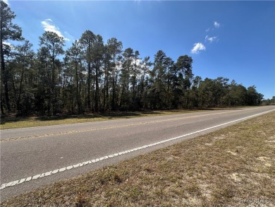 Build your dream home in the desirable Sugarmill Woods-Cypress on Sugarmill Woods Golf and Country Club in Florida - for sale on GolfHomes.com, golf home, golf lot