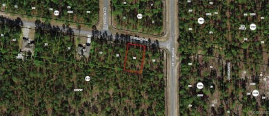 23 acre lot/homesite 80 by 125 feet that is ready to build your on Citrus Springs Country Club in Florida - for sale on GolfHomes.com, golf home, golf lot