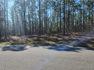 23 acre lot/homesite 80 by 125 feet that is ready to build your on Citrus Springs Country Club in Florida - for sale on GolfHomes.com, golf home, golf lot