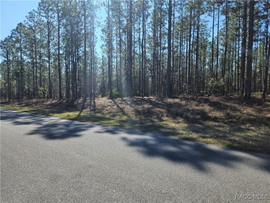 23 acre lot/homesite 80 by 125 feet that is ready to build your on Citrus Springs Country Club in Florida - for sale on GolfHomes.com, golf home, golf lot