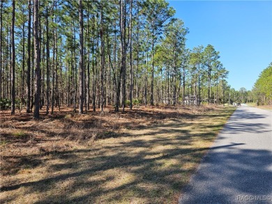 23 acre lot/homesite 80 by 125 feet that is ready to build your on Citrus Springs Country Club in Florida - for sale on GolfHomes.com, golf home, golf lot