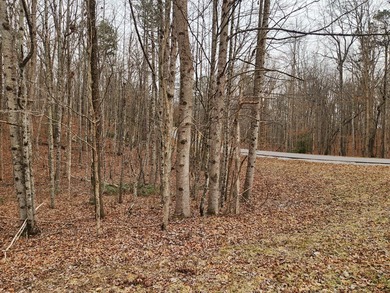 This stunning 4-acre property in Putnam County is nestled within on Mountain Ridge Golf Club in Tennessee - for sale on GolfHomes.com, golf home, golf lot