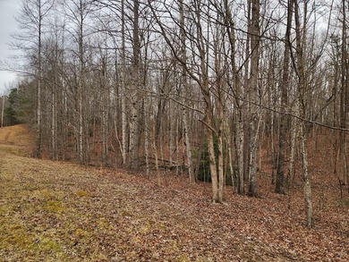 This stunning 4-acre property in Putnam County is nestled within on Mountain Ridge Golf Club in Tennessee - for sale on GolfHomes.com, golf home, golf lot