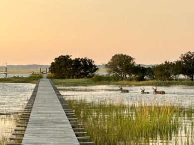 PANORAMIC INTER-COASTAL WATER VIEWS WITH DEEP WATER DOCK on Wild Dunes Harbor Golf Resort in South Carolina - for sale on GolfHomes.com, golf home, golf lot