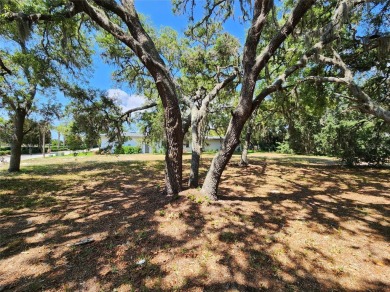 Unlock the chance to own a piece of luxury in the prestigious on Fox Hollow Golf Club in Florida - for sale on GolfHomes.com, golf home, golf lot