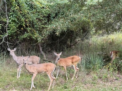 Motivated Seller. Seller is willing to help with Initial on Holly Lake Ranch Golf Club in Texas - for sale on GolfHomes.com, golf home, golf lot