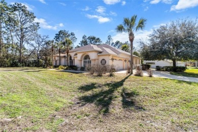 This stunning custom corner-lot home is packed with upgrades! on Sugarmill Woods Golf and Country Club in Florida - for sale on GolfHomes.com, golf home, golf lot