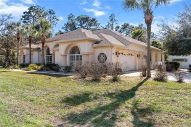 This stunning custom corner-lot home is packed with upgrades! on Sugarmill Woods Golf and Country Club in Florida - for sale on GolfHomes.com, golf home, golf lot