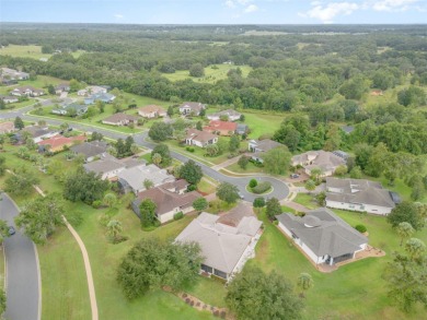 ***PRICED TO SELL*** Welcome to 38748 Lakeview Walk, Lady Lake on Harbor Hills Country Club in Florida - for sale on GolfHomes.com, golf home, golf lot