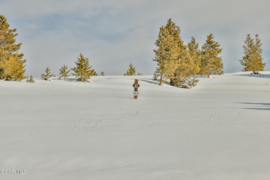 Discover the ultimate mountain retreat on this private on Headwaters Golf Course At Granby Ranch in Colorado - for sale on GolfHomes.com, golf home, golf lot