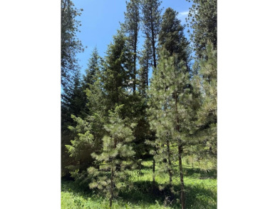 Timbered building lot in MeadowCreek Golf Resort. Located off of on Meadowcreek Golf Resort in Idaho - for sale on GolfHomes.com, golf home, golf lot