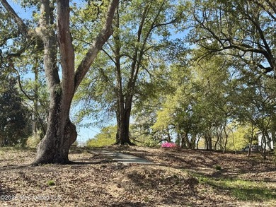 Beautiful corner lot located at 777 Moanalua Way in Diamondhead on Diamondhead Country Club in Mississippi - for sale on GolfHomes.com, golf home, golf lot