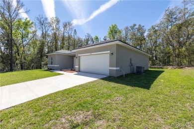 2025 Elegant move in ready home!t New Construction 4 bed/2 bath on Citrus Springs Country Club in Florida - for sale on GolfHomes.com, golf home, golf lot