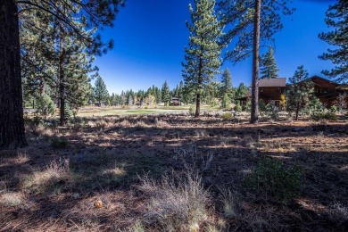 This beautiful Lahontan Golf Club homesite features gentle on Lahontan Golf Club - Lahontan in California - for sale on GolfHomes.com, golf home, golf lot