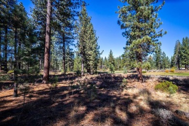 This beautiful Lahontan Golf Club homesite features gentle on Lahontan Golf Club - Lahontan in California - for sale on GolfHomes.com, golf home, golf lot