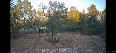 This Vacant Land is in Citrus Springs, Florida! Ready for your on Citrus Springs Country Club in Florida - for sale on GolfHomes.com, golf home, golf lot