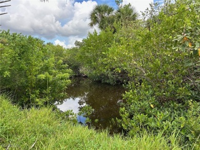 Rare Opportunity - Build Your Dream Home Next to Protected Green on Burnt Store Golf Club in Florida - for sale on GolfHomes.com, golf home, golf lot