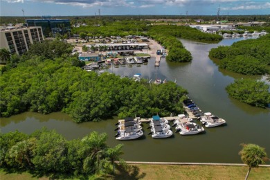 Golf Course. Inside, the living room opens to wide-open water on Cove Cay Country Club in Florida - for sale on GolfHomes.com, golf home, golf lot