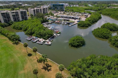 Golf Course. Inside, the living room opens to wide-open water on Cove Cay Country Club in Florida - for sale on GolfHomes.com, golf home, golf lot