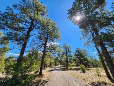 Nestled among tall Ponderosa Pine trees and less than one hour on The Divide Ranch and Club in Colorado - for sale on GolfHomes.com, golf home, golf lot