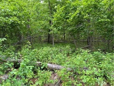 Rare opportunity at one of the few lots not yet built upon in on The Pines At Grand View Lodge Golf Club in Minnesota - for sale on GolfHomes.com, golf home, golf lot