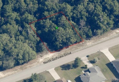 This spacious, buildable lot offers the perfect homesite in a on Citrus Springs Country Club in Florida - for sale on GolfHomes.com, golf home, golf lot