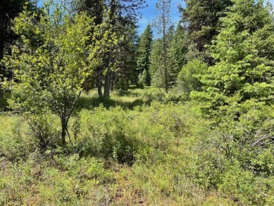 Five acres of end-of-the-road seclusion yet just minutes from on Meadowcreek Golf Resort in Idaho - for sale on GolfHomes.com, golf home, golf lot