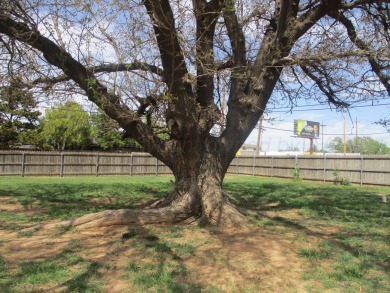 Very nice property with updated bathrooms and flooring in the on Amarillo Country Club in Texas - for sale on GolfHomes.com, golf home, golf lot