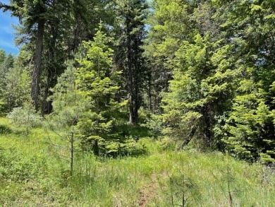 Five acres of end-of-the-road seclusion yet just minutes from on Meadowcreek Golf Resort in Idaho - for sale on GolfHomes.com, golf home, golf lot