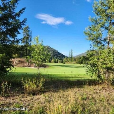 Beautiful 1 Acre lot with mature trees and a seasonal stream on The Idaho Club in Idaho - for sale on GolfHomes.com, golf home, golf lot