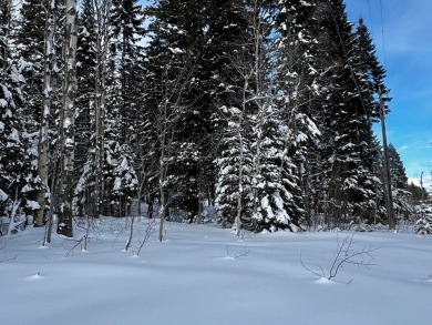 TAMARACK RESORT is only two miles from this level on Osprey Meadows at Tamarack Resort in Idaho - for sale on GolfHomes.com, golf home, golf lot