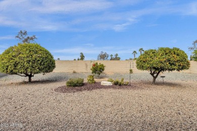 Updated Sun City West Home with Solar, No HOA, and Modern on Briarwood Country Club in Arizona - for sale on GolfHomes.com, golf home, golf lot