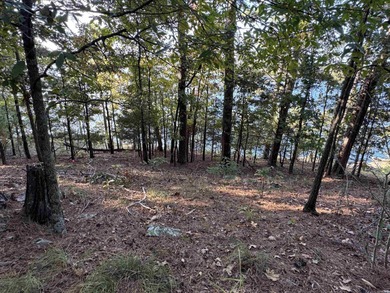 Beautiful Lake Front Lot on Greers Ferry!  Build your dream lake on  in Arkansas - for sale on GolfHomes.com, golf home, golf lot