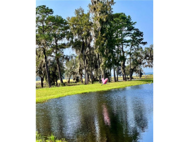 Take advantage of this beautiful lot behind the Coopers Point on Sapelo Hammock Golf Club in Georgia - for sale on GolfHomes.com, golf home, golf lot